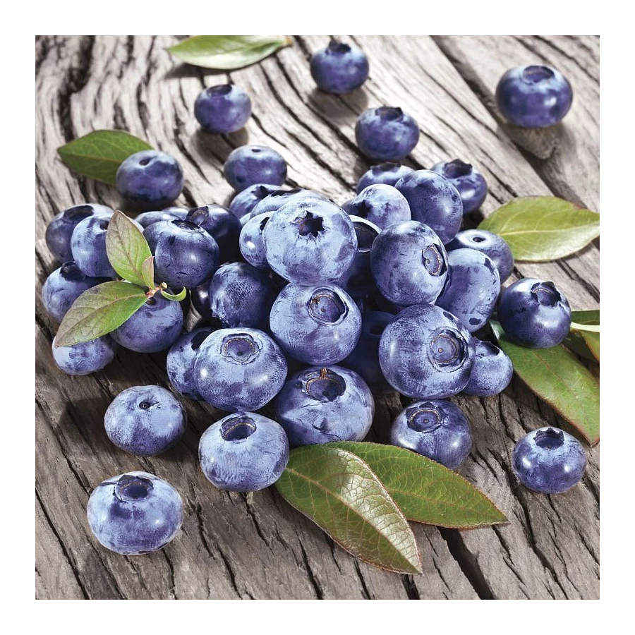 Вставка Mosplitka Черника многоцветный 10х10 см