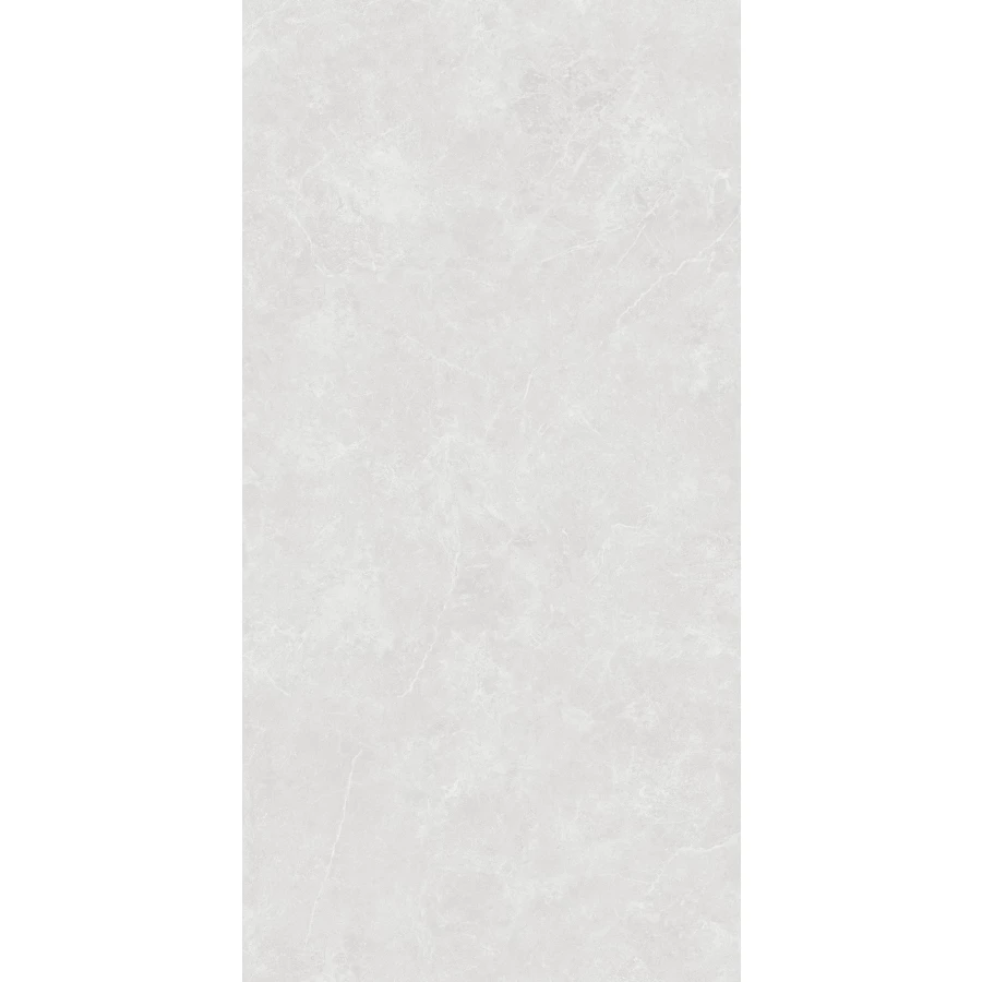 Керамогранит Creanza Oviedo Silver Solido матовый с микрогранулами светло-серый SL1003-A 120х60 см