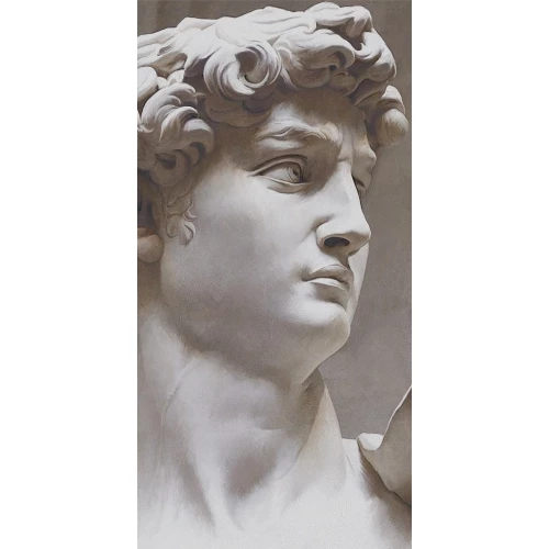 Керамогранит Kerama Marazzi Давид и Венера Давид 2 ковер обрезной матовый серый VT/B564/SG591820R 238,5х119,5 см