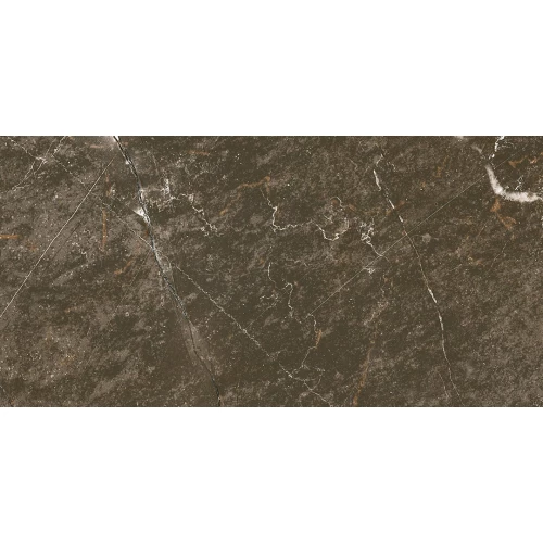 Керамогранит Ocean Ceramic Iran Baron Brown Sugar IRN000005 120х60 см