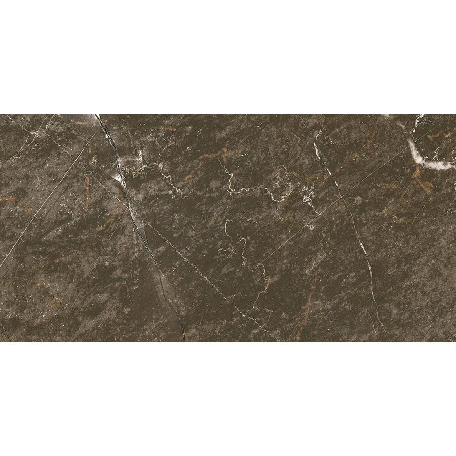 Керамогранит Ocean Ceramic Iran Baron Brown Sugar IRN000005 120х60 см