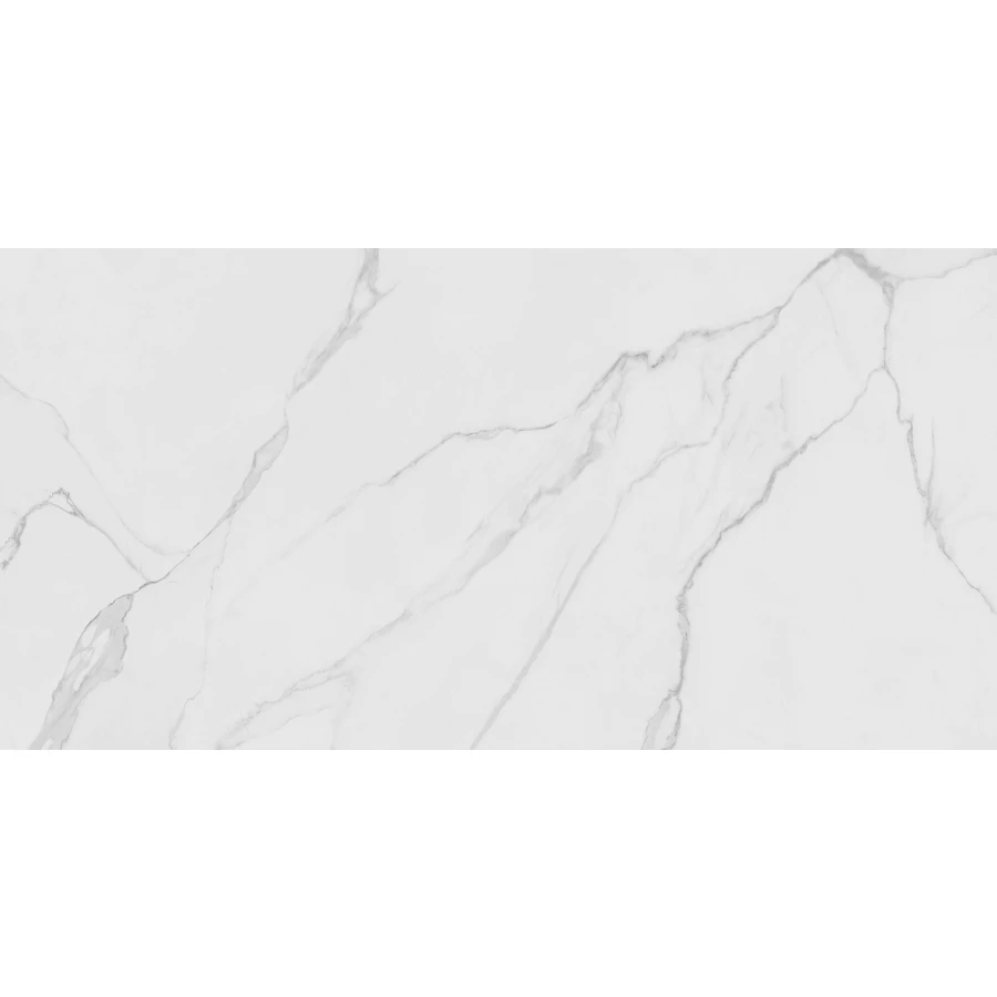 Керамогранит EcoCeramic CV Hanoi blanco f 120х60 см