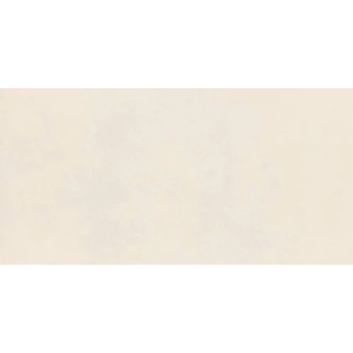 Керамогранит Ragno Marazzi Decora Bianco Rett RA59 120х60 см