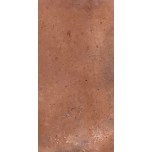 Керамогранит Dado Ceramica Tavellone Vecchia Firenze OUT коричневый TVN011 31х15,3 см
