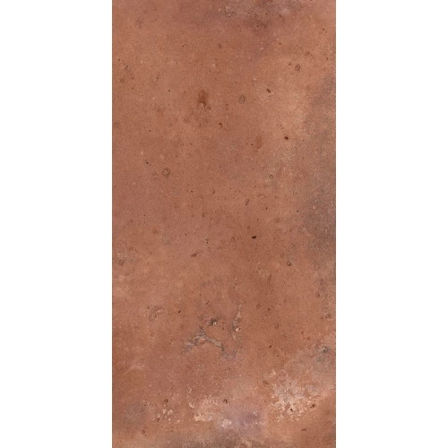 Керамогранит Dado Ceramica Tavellone Vecchia Firenze OUT коричневый TVN011 31х15,3 см