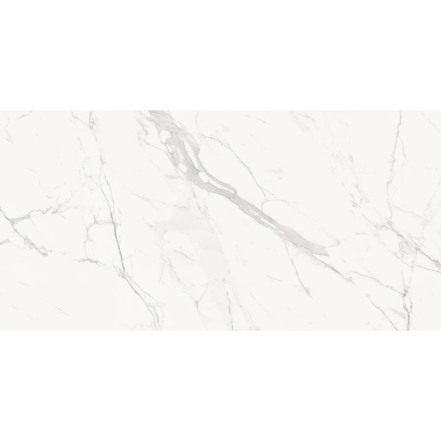 Керамогранит Delacora Porfido Carrara матовый белый 60120PFC15M 120х60 см