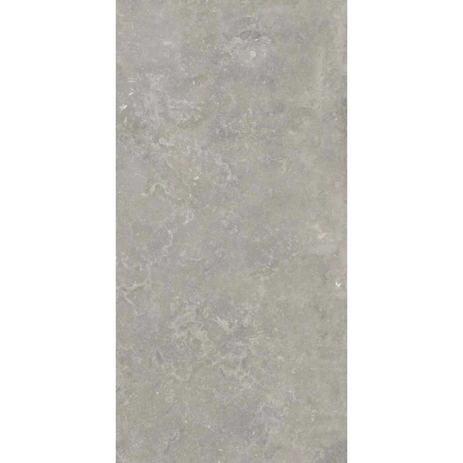Керамогранит Ariana Ceramica Memento bruges grey nat R 12928 120х60 см
