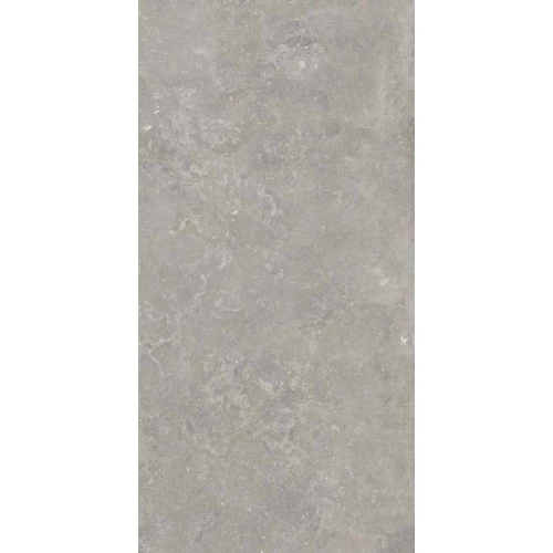 Керамогранит Ariana Ceramica Memento bruges grey nat R 12928 120х60 см