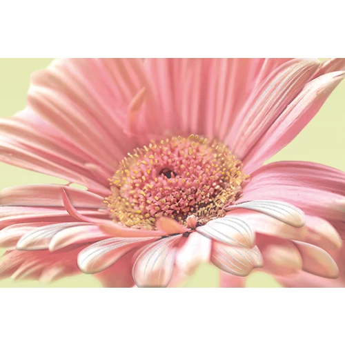 Декор Cersanit Aster AE2N452DT 30x45