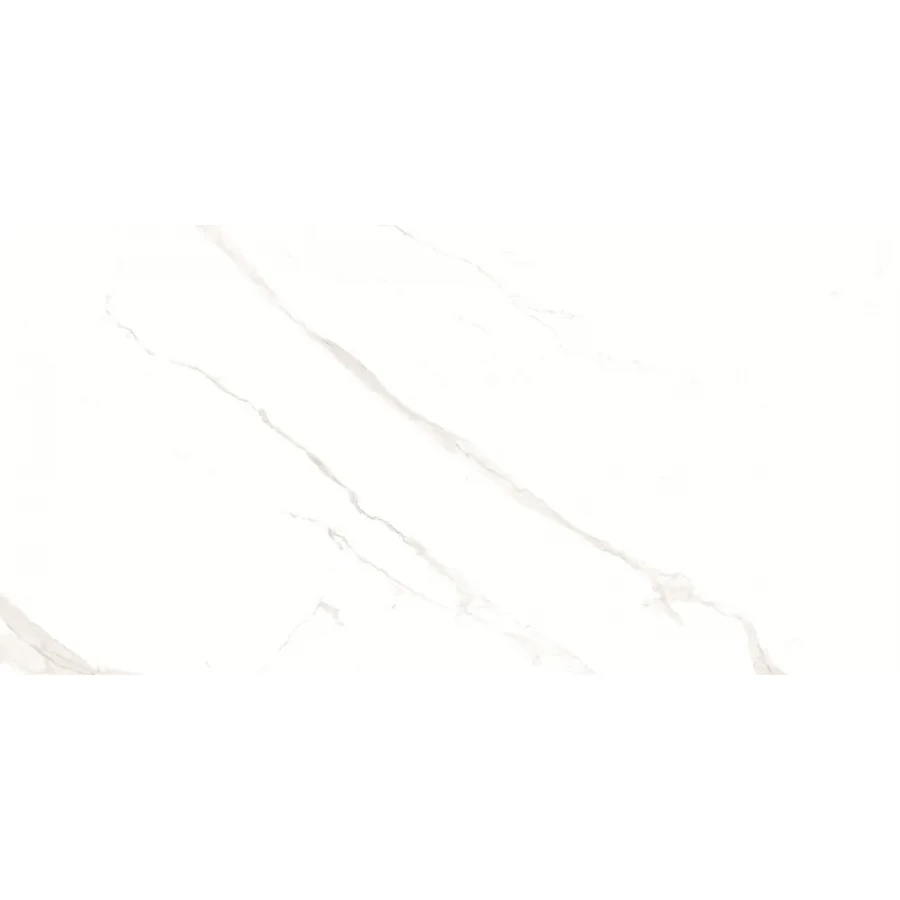 Керамогранит Duna Pushkar White Matt матовый белый RP-238582 120х60 см