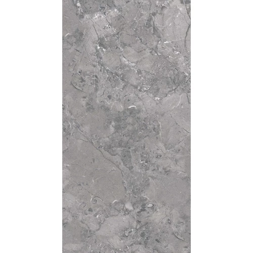 Керамогранит Seratonia Carving-Glossy Elegance Dark Grey темно-серый 120х60 см