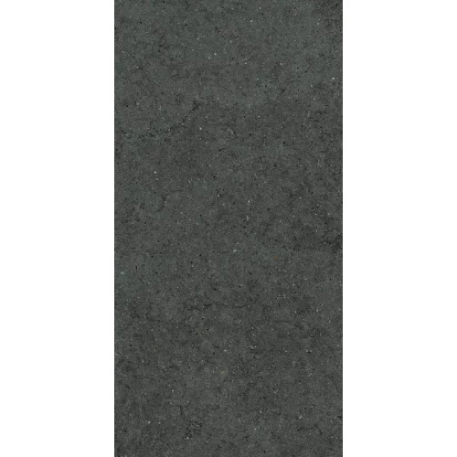 Керамогранит Italon Форум Стоун Петрол матовый черный 610010004171 120х60 см