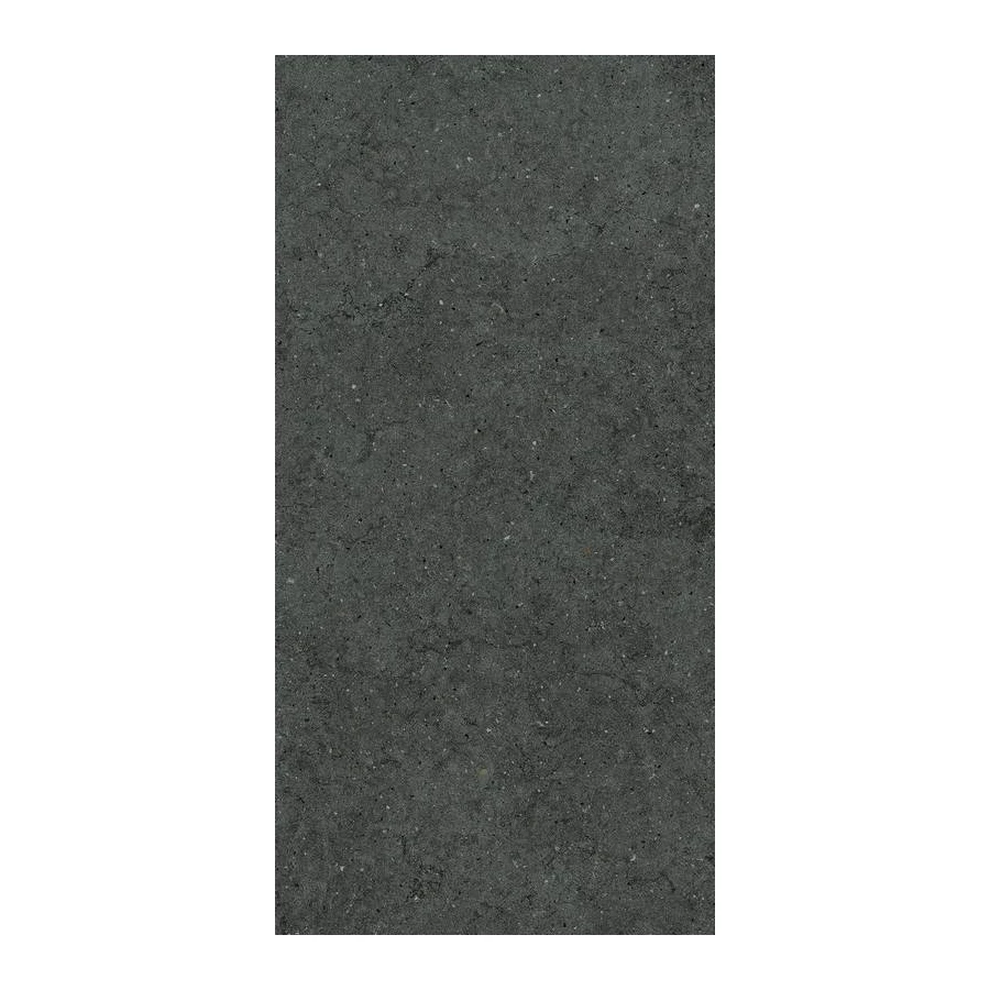 Керамогранит Italon Форум Стоун Петрол матовый черный 610010004171 120х60 см