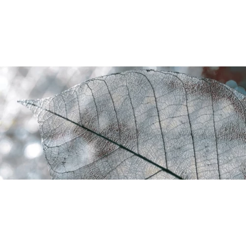 Декор InterCerama Magia серый 50*23 см