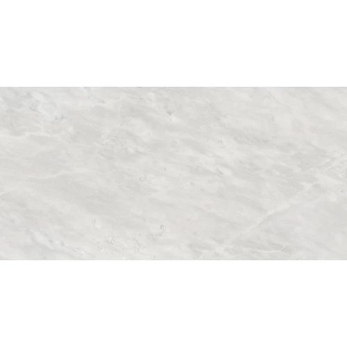 Керамогранит Infinity Ceramica Blomex Green Mist Glossy глянцевый серый 120x60 см