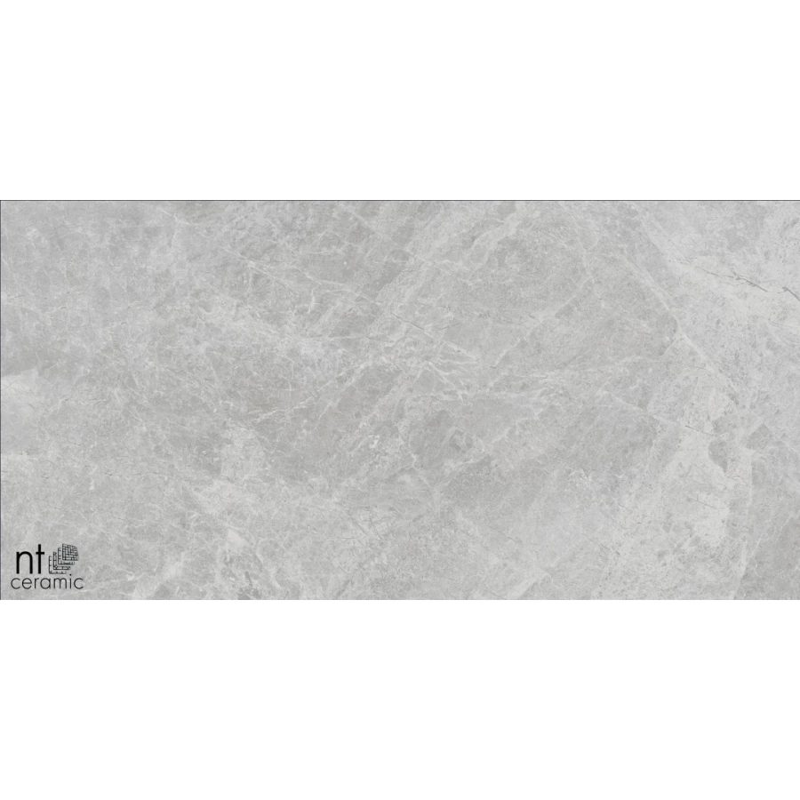 Керамогранит NT Ceramic Bright and Shiny Tundra Pearl mat Матовый NTT9118M 120х60 см