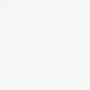 Керамогранит Codicer Basic White 25x25 см