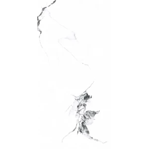 Керамогранит Primavera Videl Bianco polished 1,44 м2 48,96 м2 PR222 120х60 см