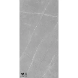 Керамогранит NT Ceramic Granite Limestone Grey Structura Матовый NTT99617M 120х60 см