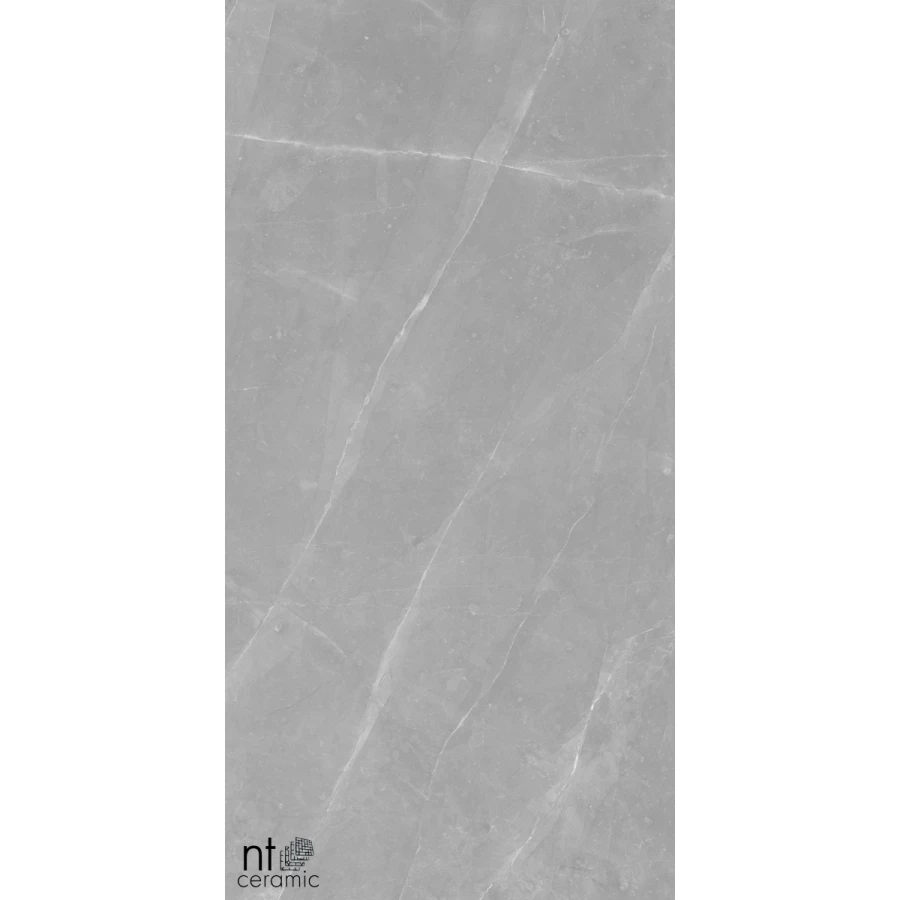 Керамогранит NT Ceramic Granite Limestone Grey Structura Матовый NTT99617M 120х60 см