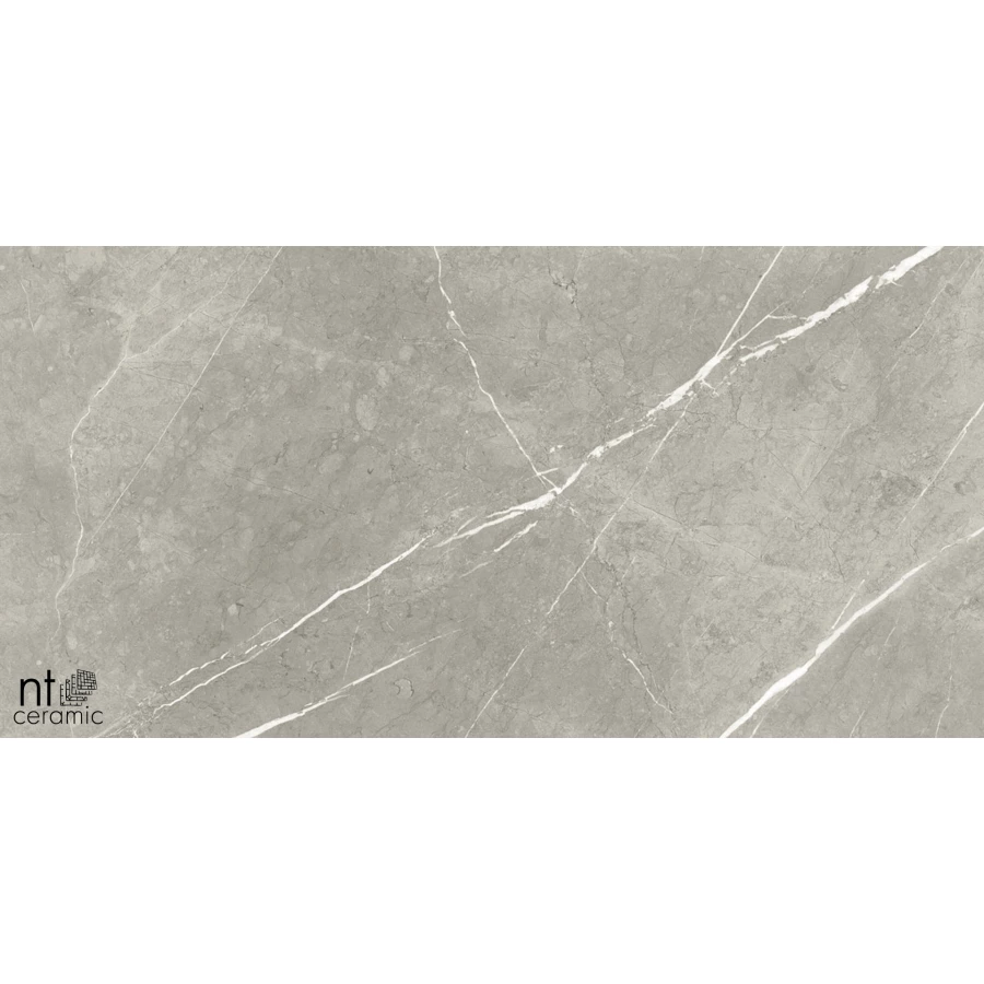 Керамогранит NT Ceramic Bright and Shiny NTT9102 Полированный BB612NTT9102P 120х60 см