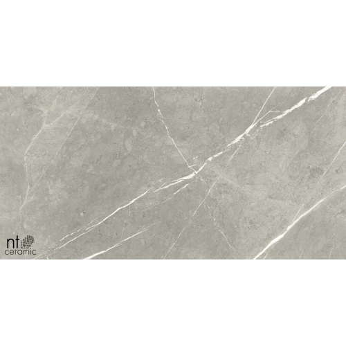 Керамогранит NT Ceramic Bright and Shiny NTT9102 Полированный BB612NTT9102P 120х60 см