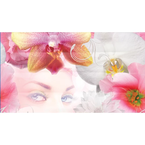 Панно Ceradim Dec Vision A КПН16VisionA 25х45