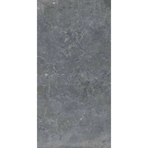 Керамогранит Ariana Ceramica Memento bruges smoke nat R 12929 120х60 см