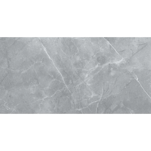 Керамогранит Exagres Silk матовый серый 120х60 см