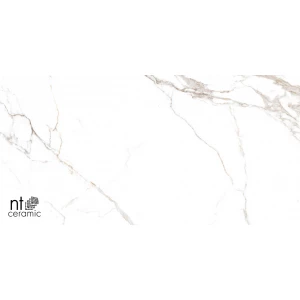 Керамогранит NT Ceramic Bright and Shiny NTT9122M Barbara White mat Матовый NTT9122M 120х60 см