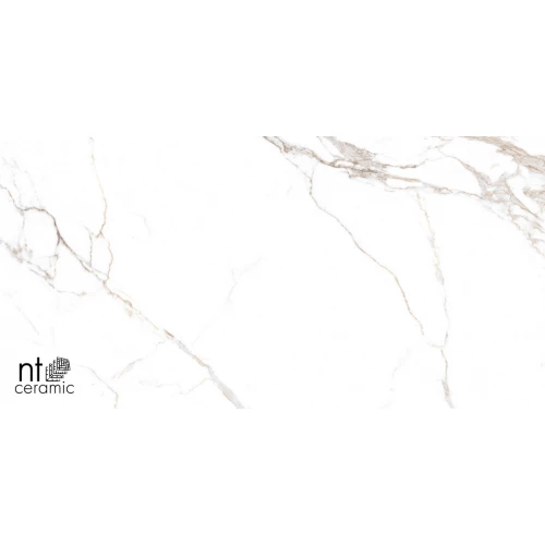 Керамогранит NT Ceramic Bright and Shiny NTT9122M Barbara White mat Матовый NTT9122M 120х60 см