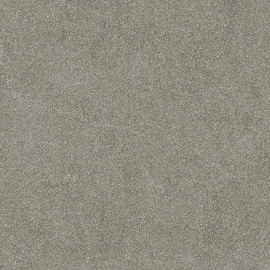 Керамогранит Living Ceramics Vonn Greige Anti-Slip матовый серый LV11002 120x120 см