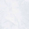 Керамогранит Prissmacer Isea Pearl светло-серый 60x60 см