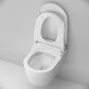 Унитаз подвесной Am Pm Func FlashClean c электронной крышкой биде со скрытой подводкой C8F1702SC