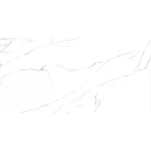 Керамогранит матовый ALMA Ceramica Carrara 1,44 кв.м. 0,85GFU60120CRR00R 120х60х0,85 см
