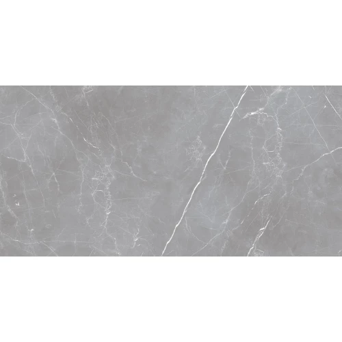 Керамогранит Ocean Ceramic Iran Iran 20мм Arion Gray Dark матовый серый IRN000050 121х61 см