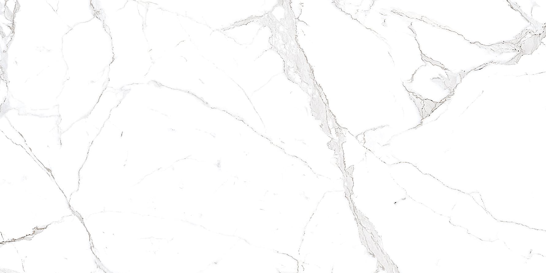 Calacatta Superb керамогранит белый 60x60 полированный