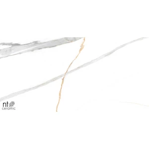 Керамогранит NT Ceramic Marmo Maritaca Statuario Ultra White Полированный NTT99513M 120х60 см