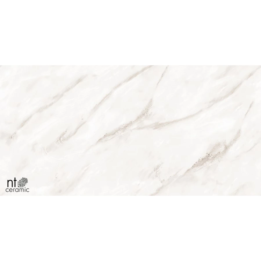 Керамогранит NT Ceramic Marmo Empire Pearl Endless Полированный NTT99525P 120х60 см