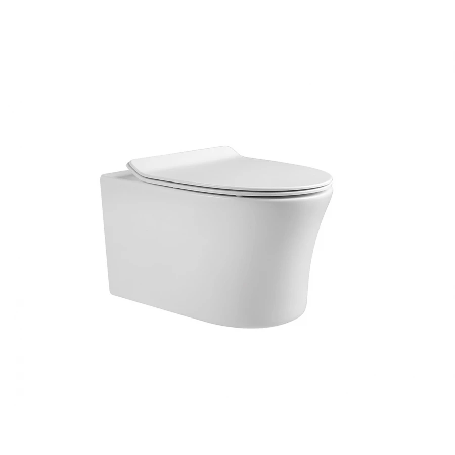 Унитаз компакт подвесной безободковый Aquatek Ника тонкое сиденье с механизмом плавного закрывания крепеж AQ2009-00 52,5х36,5 см