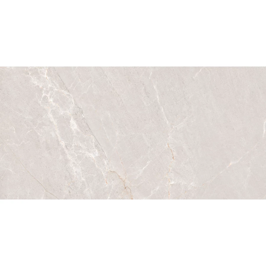 Керамогранит Neodom Stone Persian Grey Matt матовый серый N20552 120х60 см