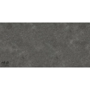 Керамогранит NT Ceramic Concrete NTT77003 Лаппатированный PP459NTT77003L 90х45 см