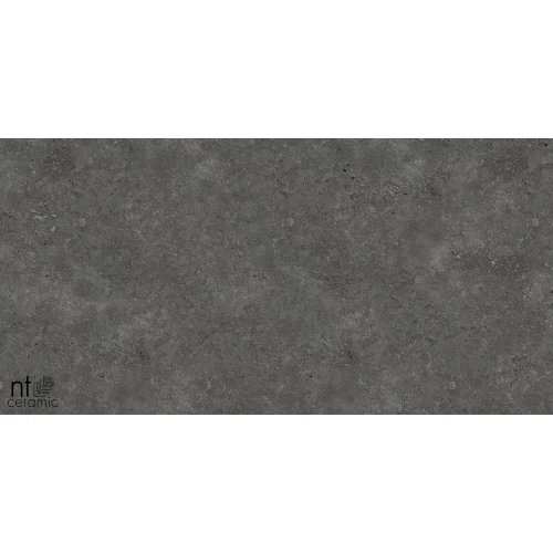 Керамогранит NT Ceramic Concrete NTT77003 Лаппатированный PP459NTT77003L 90х45 см