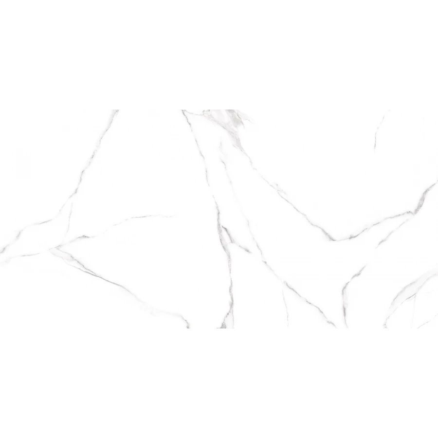 Керамогранит матовый ALMA Ceramica Carrara 1,44 кв.м. 0,85GFU60120CRR00R 120х60х0,85 см