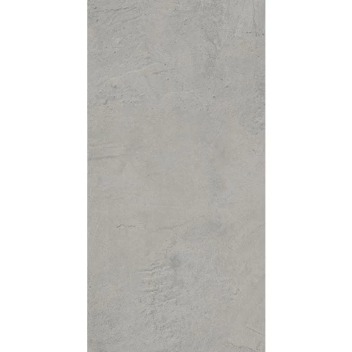 Керамогранит TAU Ceramica Devon Silver Nat. 120х60 см