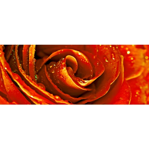 Декор Cerrol Syntia Rose 1 20х50