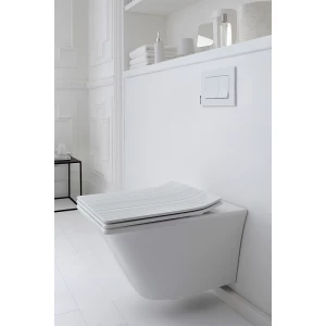 Подвесной унитаз Jacob Delafon Grands Boulevards безободковый белый EDW102-00