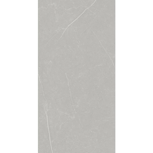 Керамогранит Primavera Фенгари / Fengari матовый серый TP612M002 120x60 см