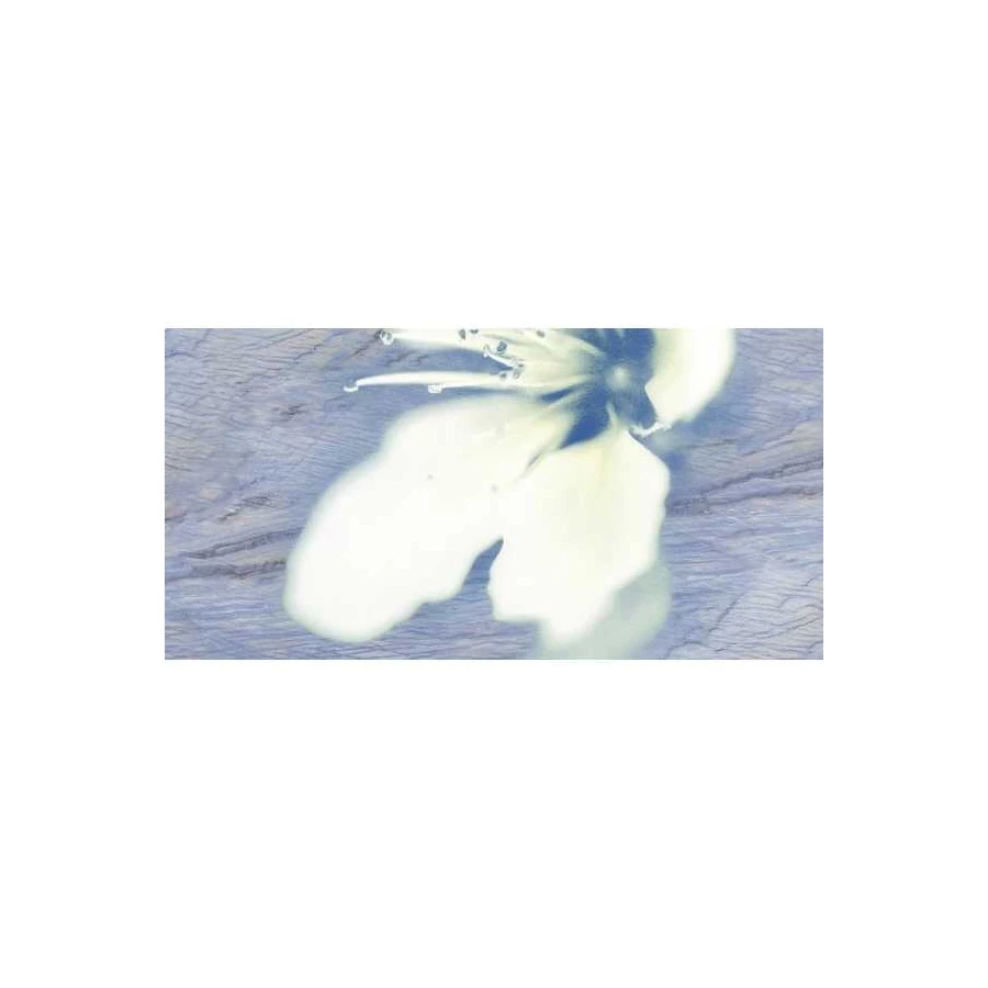 Декор Нефрит-Керамика Реноме голубой 04-01-1-10-03-61-222-0 50х25 см