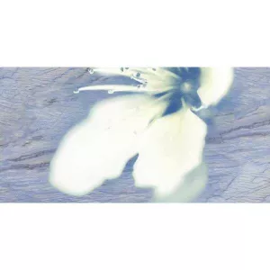 Декор Нефрит-Керамика Реноме голубой 04-01-1-10-03-61-222-0 50х25 см